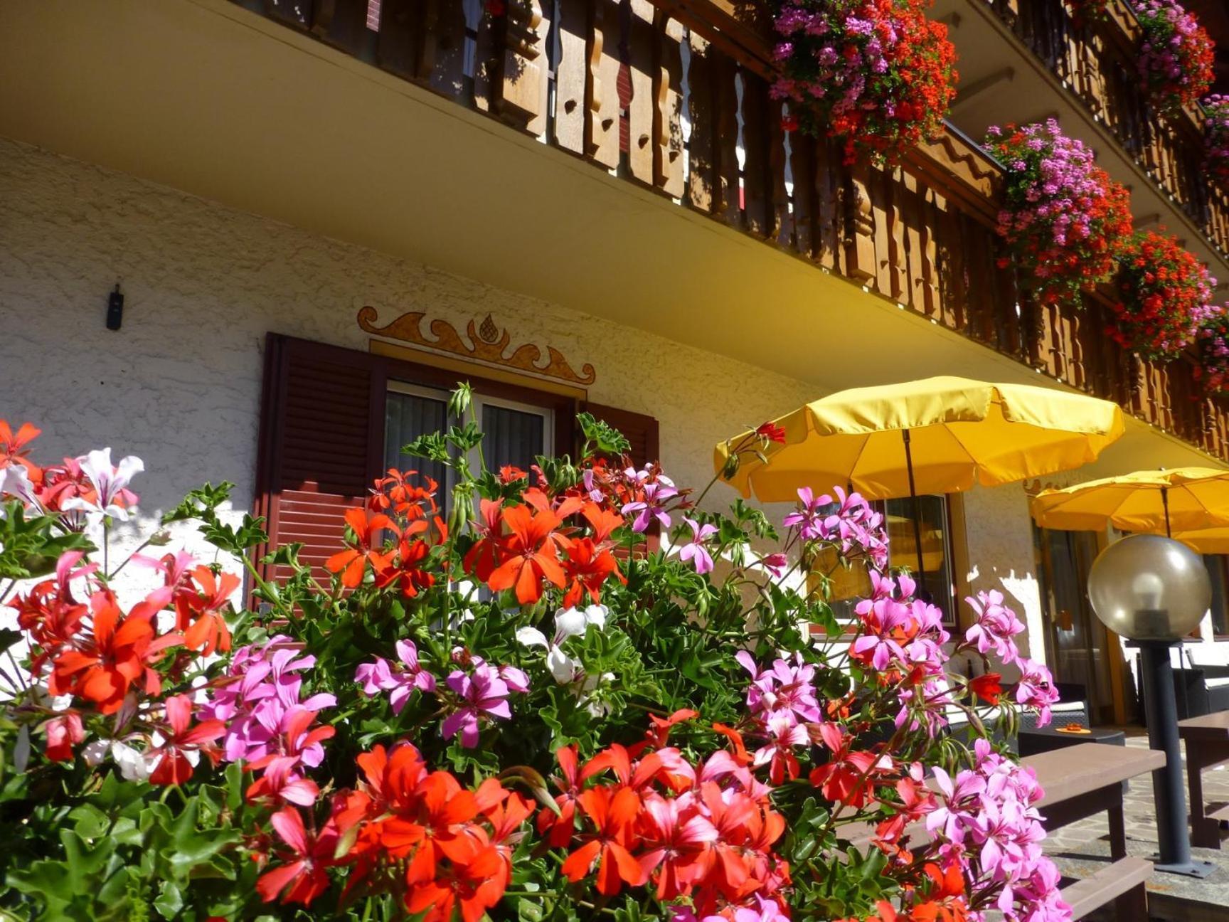 Garni Helfer Bed and Breakfast Dobbiaco Eksteriør billede
